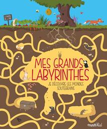 Mes grands labyrinthes : je découvre les mondes souterrains / Karine Balzeau, Antoine Balzeau | Balzeau, Karine. Auteur